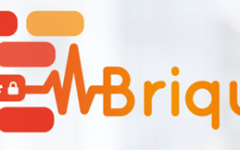 BRIQUES n°30